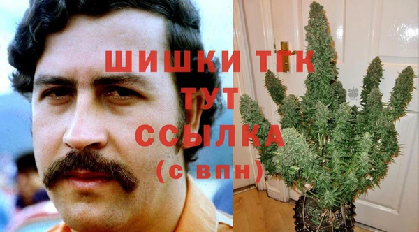 шишки Балахна